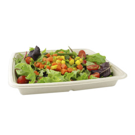 Embalagem Cana-de-açúcar 1000ml 230x230x30mm (75 Uds)