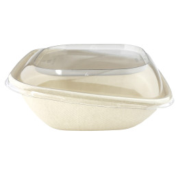 Embalagem Cana-de-açúcar "Vision" 750ml 190x190x70mm (50 Uds)