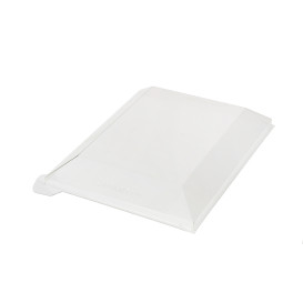 Tampa Plastico PET Transparente 38x27,4cm 