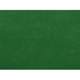 Toalhete Não Tecido Airlaid Verde 30x40cm (500 Uds)