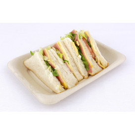 Embalagem Cana-de-açúcar 20x14cm (50 Uds)