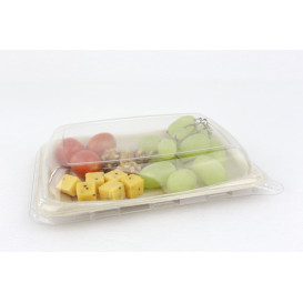 Embalagem Cana-de-açúcar 20x14cm (50 Uds)