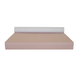 Toalha Papel Rolo Mesa Salmão 1x100m 40g (1 Ud)