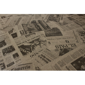Toalha Papel Rolo "Imprensa" Kraft 1,2x100m 37g (1 Ud)