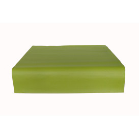 Toalha Papel Cortado Mesa Pistache 1x1 Metro 40g (400 Uds)