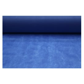Toalha em Rolo Não Tecido Azul Royal 1,2x50m 50g (6 Uds)