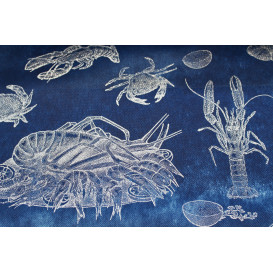 Toalha em Rolo Não Tecido Azul desenho "Marisco" 1,2x50m 50g (1 Ud)