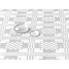 Toalha Papel Plastificado Rolo Branco 1,2x5m (1 Ud)