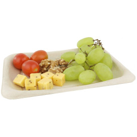 Embalagem Cana-de-açúcar 20x14cm (50 Uds)