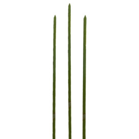 Pick de Bambu Verde Natural 150mm (5000 Unidades)