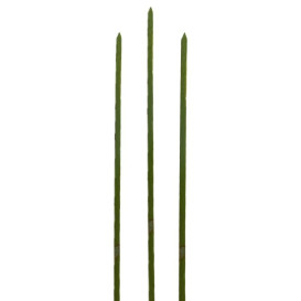 Pick de Bambu Verde Natural 200mm (5000 Unidades)