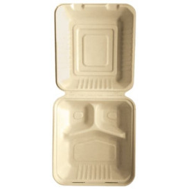Embalagem Cana-de-açúcar Natural 3C 20x20x7,5cm (50 Uds)