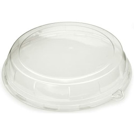 Tampa de Plastico Trasparente Bandeja 34x8 cm (50 Uds)