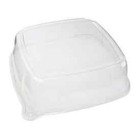 Tampa Plastico Trasparente Bandeja 27x27x8cm (5 Uds)