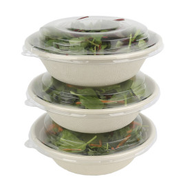 Tampa Cúpula de Plástico PET Cristal Ø21cm (300 Uds)