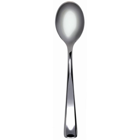 Colher de Plastico Metalizado 17,5 cm (50 Unidades)