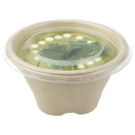 Tigela Cana-de-açúcar 375ml Ø13cm (1000 Uds)