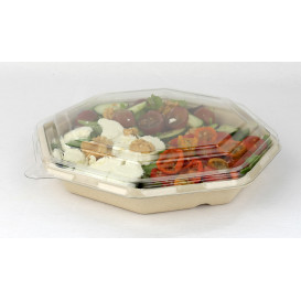 Tampa Cupula PET Cristal Hexagonal 230x230mm (100 Uds)