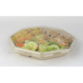 Tampa Cupula PET Cristal Hexagonal 230x230mm (100 Uds)