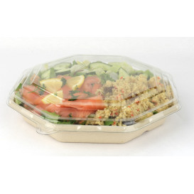 Tampa Cupula PET Cristal Hexagonal 230x230mm (100 Uds)