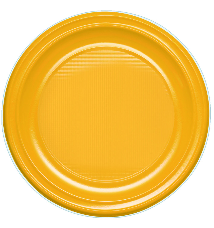 Prato Plastico PS Raso Manga 220mm (30 Unidades) Prato Plastico PS Raso Manga 220mm (30 Unidades)