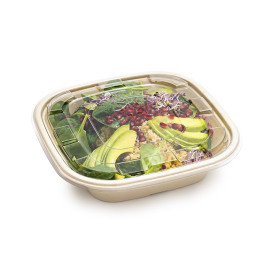 Tigela Cana de Açúcar Quadrada Natural 2250ml 27cm (50 Uds)