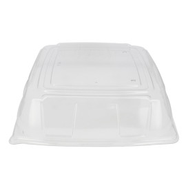 Tampa Plástico PET Transparente Bandeja 36x36cm (5 Uds)