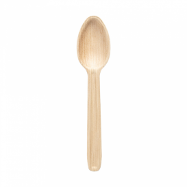 Colher Folha de Palmeira Degustação 17 cm (500 Uds)