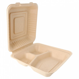 Embalagem Cana-de-açúcar Natural 3C 20x20x7,5cm (50 Uds)