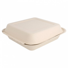 Embalagem Cana-de-açúcar Natural 20x20x7,5cm (250 Uds)