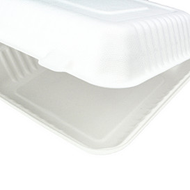 Embalagem Cana-de-açúcar com PLA Branco 23x23x7,5cm (200 Uds)