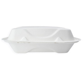 Embalagem Cana-de-açúcar Branco 3C 23x23x7,5cm (50 Uds)