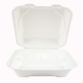 Embalagem Cana-de-açúcar Branco 3C 23x23x7,5cm (50 Uds)