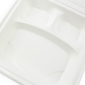 Embalagem Cana-de-açúcar Branco 3C 23x23x7,5cm (50 Uds)
