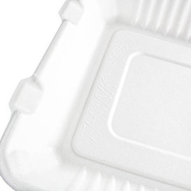 Embalagem Cana-de-açúcar com PLA Branco 3C 23x23x7,5cm (50 Uds)
