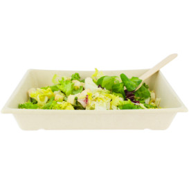 Bandeja Bio da cana-de-açúcar 220x160x40mm (50 Uds)