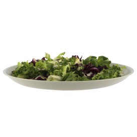 Prato Reutilizavel Premium PP Mineral Cinza Ø275mm (6 Uds)
