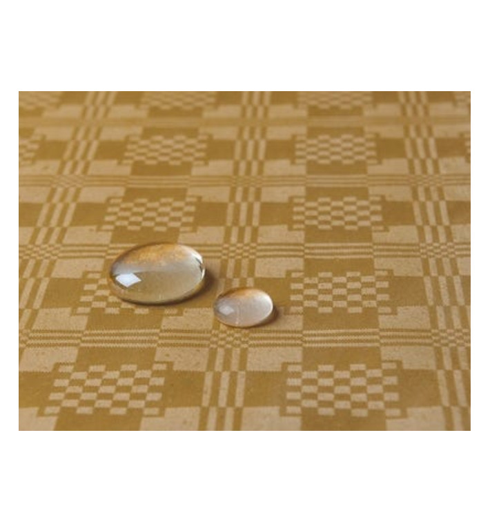 Toalha Papel Plastificado Rolo Ouro 1,2x5m (1 Ud) Toalha Papel Plastificado Rolo Ouro 1,2x5m (1 Ud)