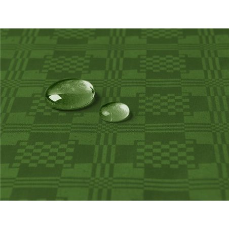 Toalha Papel Plastificado Rolo Verde Escuro 1,2x5m (10 Uds)