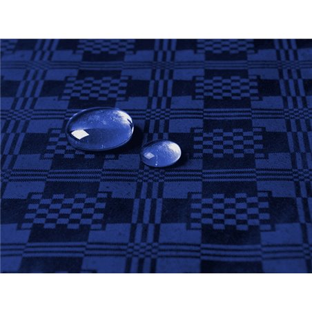 Toalha Papel Plastificado Rolo Azul 1,2x5m (1 Ud)