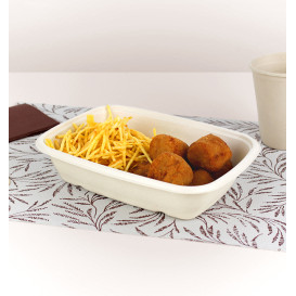 Embalagem Cana-de-açúcar PLA 825ml 21x16x5cm (75 Uds)