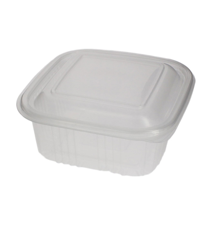 Embalagem Plastico Quadrado Tampa Bisagra PP 500ml (50 Uds) Embalagem Plastico Quadrado Tampa Bisagra PP 500ml (50 Uds)