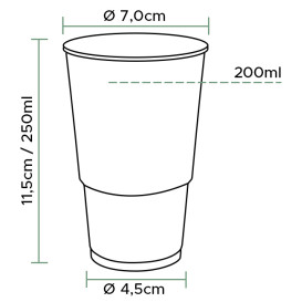 Copo de Plástico Transparente PP 250ml (100 Uds)