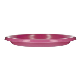 Prato Plano Reutilizável Económico PS Fucsia Ø22cm (25 Uds)