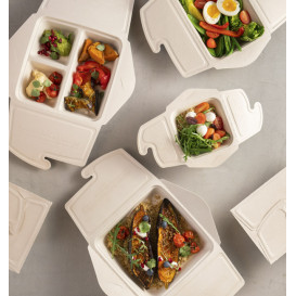 Embalagem MenuBox Cana-de-Açúcar 21x21x4cm 1350ml (50 Uds)
