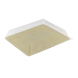 Tampa Plastico PET Transparente 27x20cm (10 Uds)