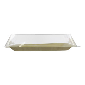 Tampa Plastico PET Transparente 27x20cm (10 Uds)