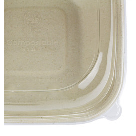 Embalagem Cana-açúcar com tampa 750ml 190x190x80mm (15 Uds)