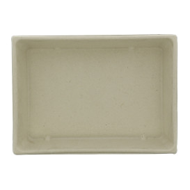 Bandejas Cana-de-açúcar com tampa 220x160x60mm (15 Uds)