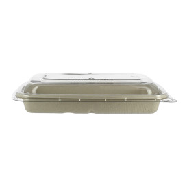 Embalagem Cana-açúcar com tampa 600ml 230x160x50mm (90 Uds)